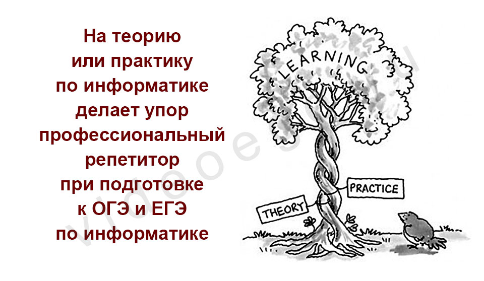 На теорию или практику по информатике делает упор профессиональный репетитор при подготовке к ОГЭ и ЕГЭ по информатике